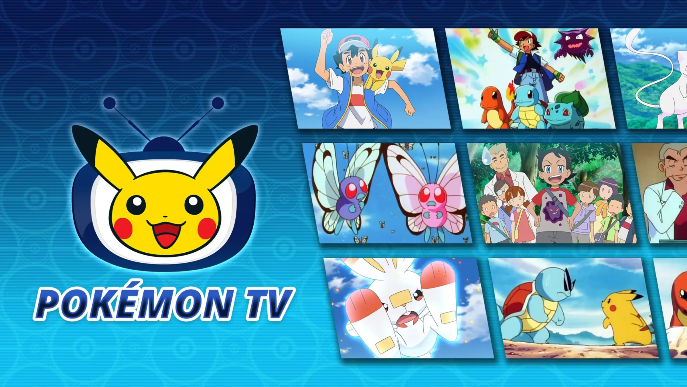 Pokémon TV screenshot
